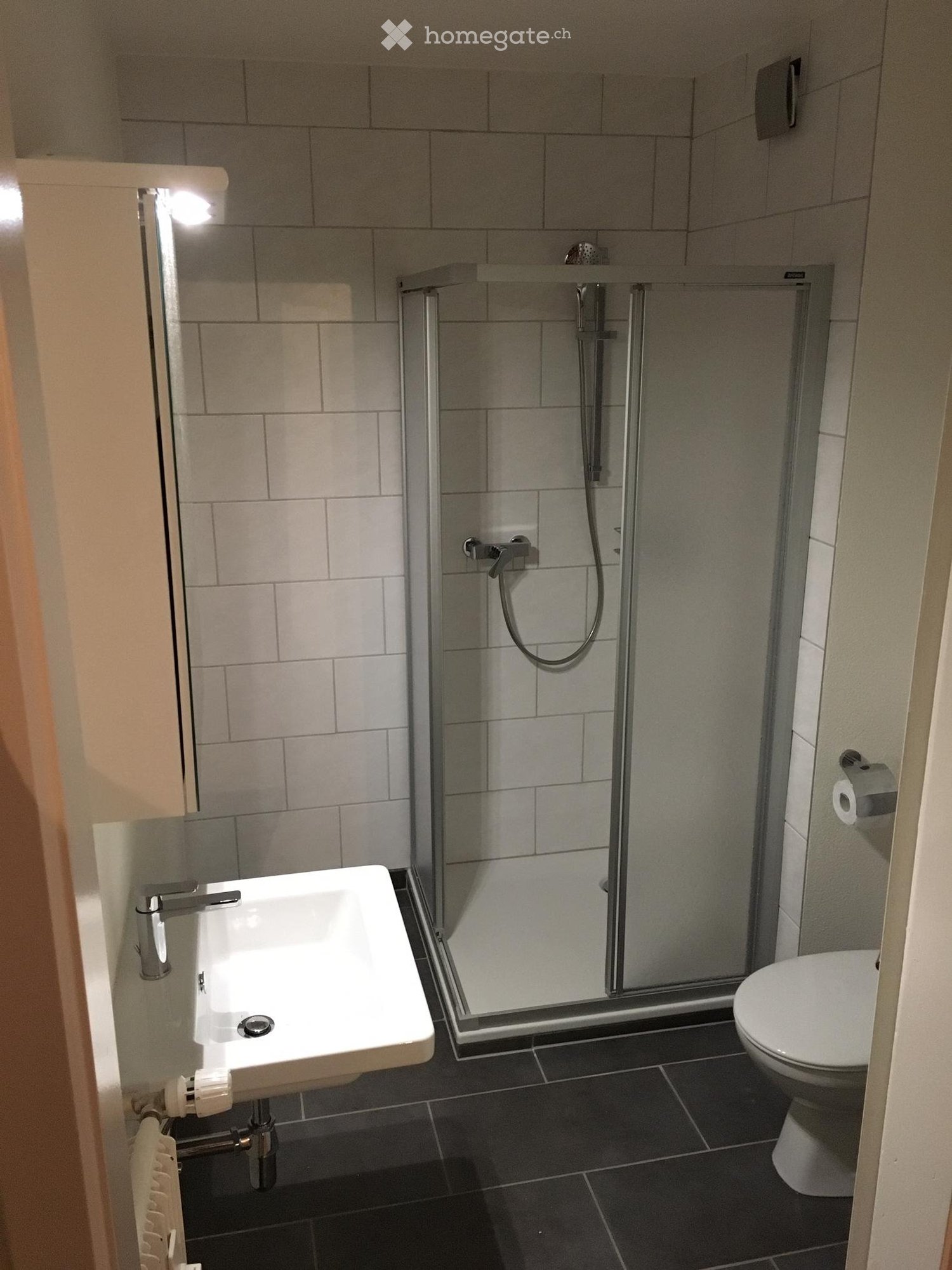 2 ½ Zimmer Wohnung