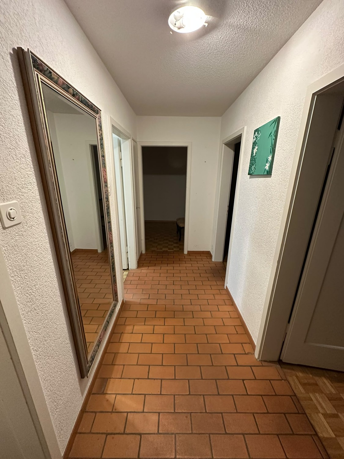 Appartement de 3 ½ pièces