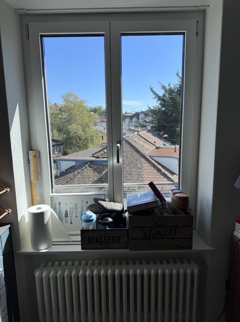 3 ½ Zimmer Wohnung
