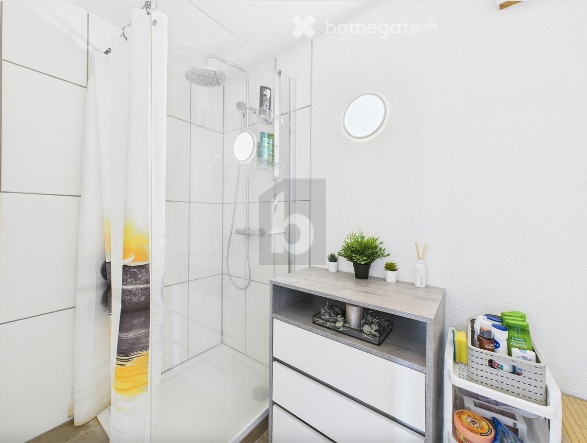 Appartement de 3 ½ pièces
