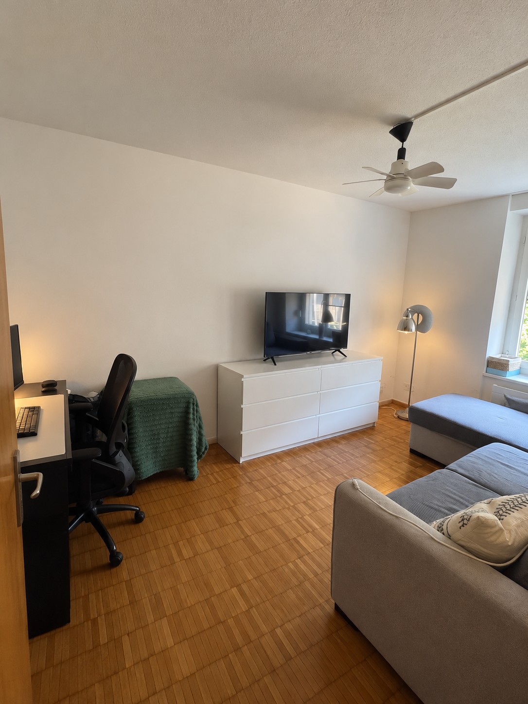 appartamento di 3 ½ locali