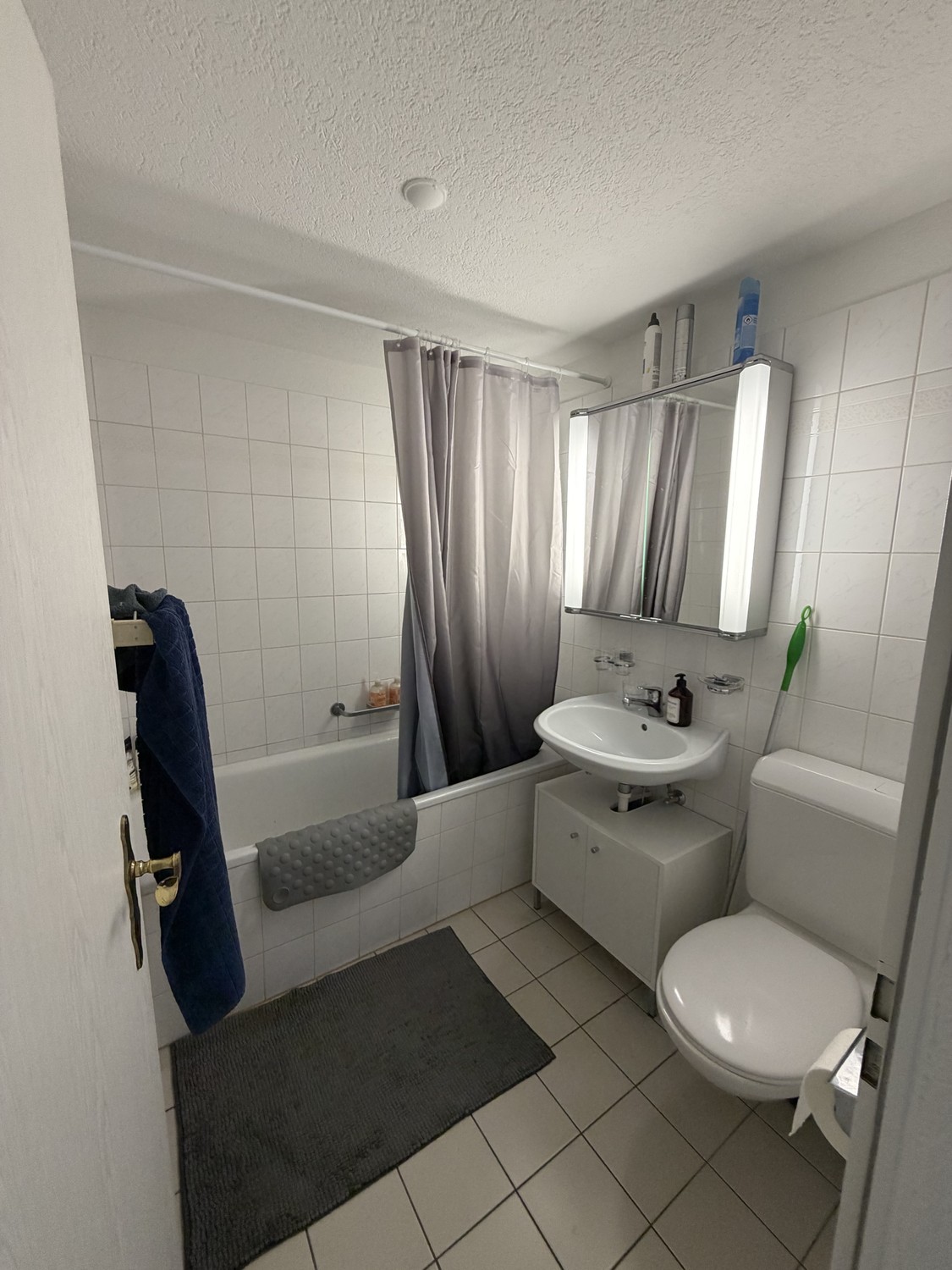 Appartement 3 ½ pièces