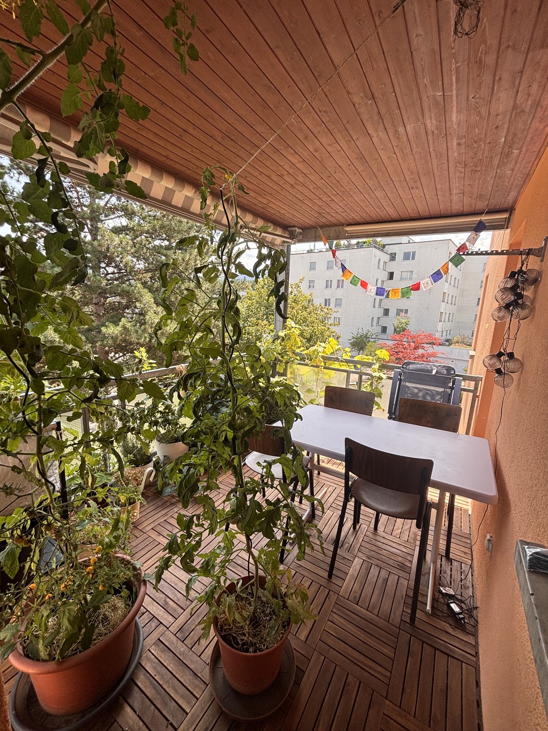 Appartamento di 3 ½ locali