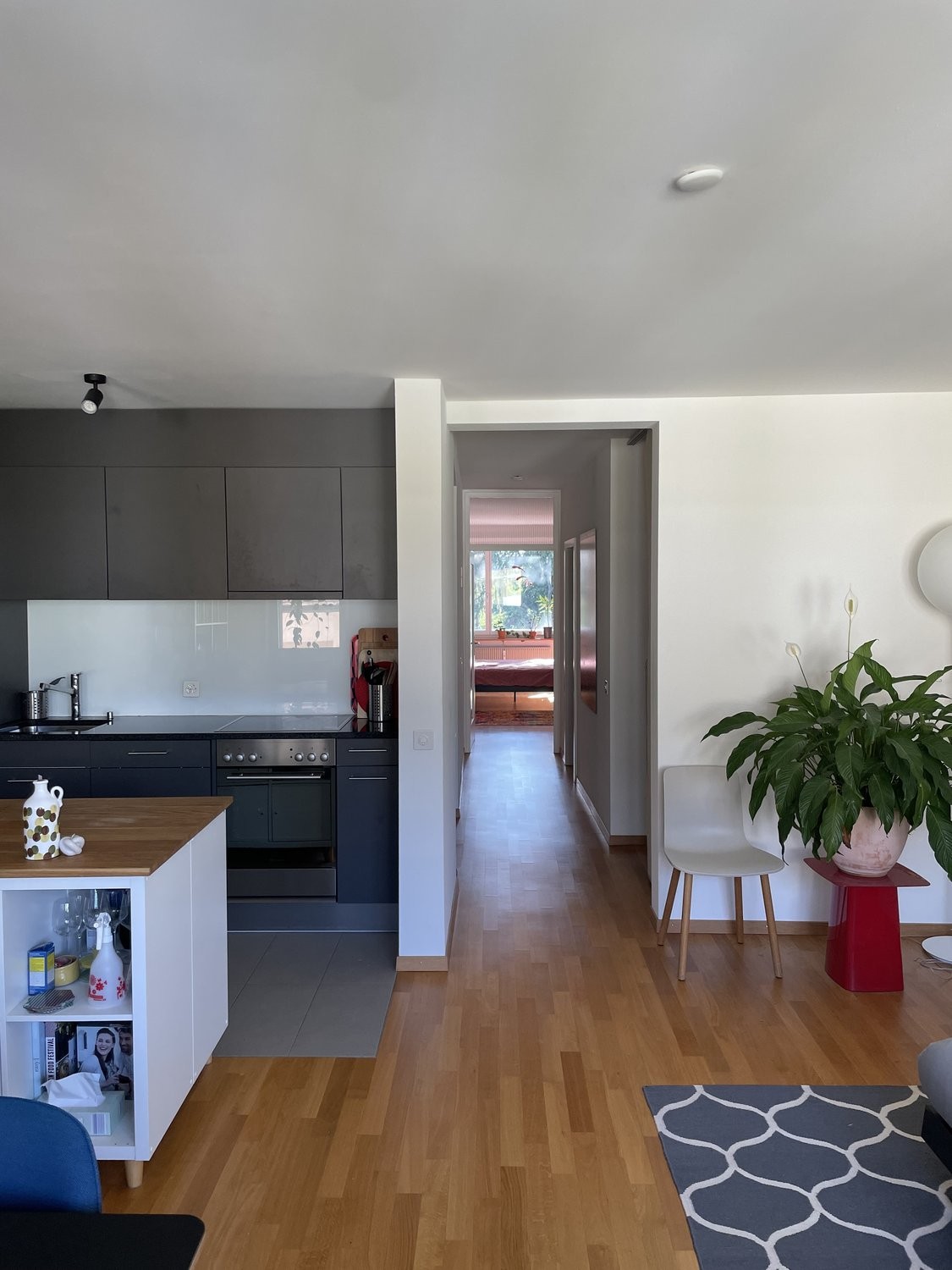 Appartement meublé de 2 ½ pièces