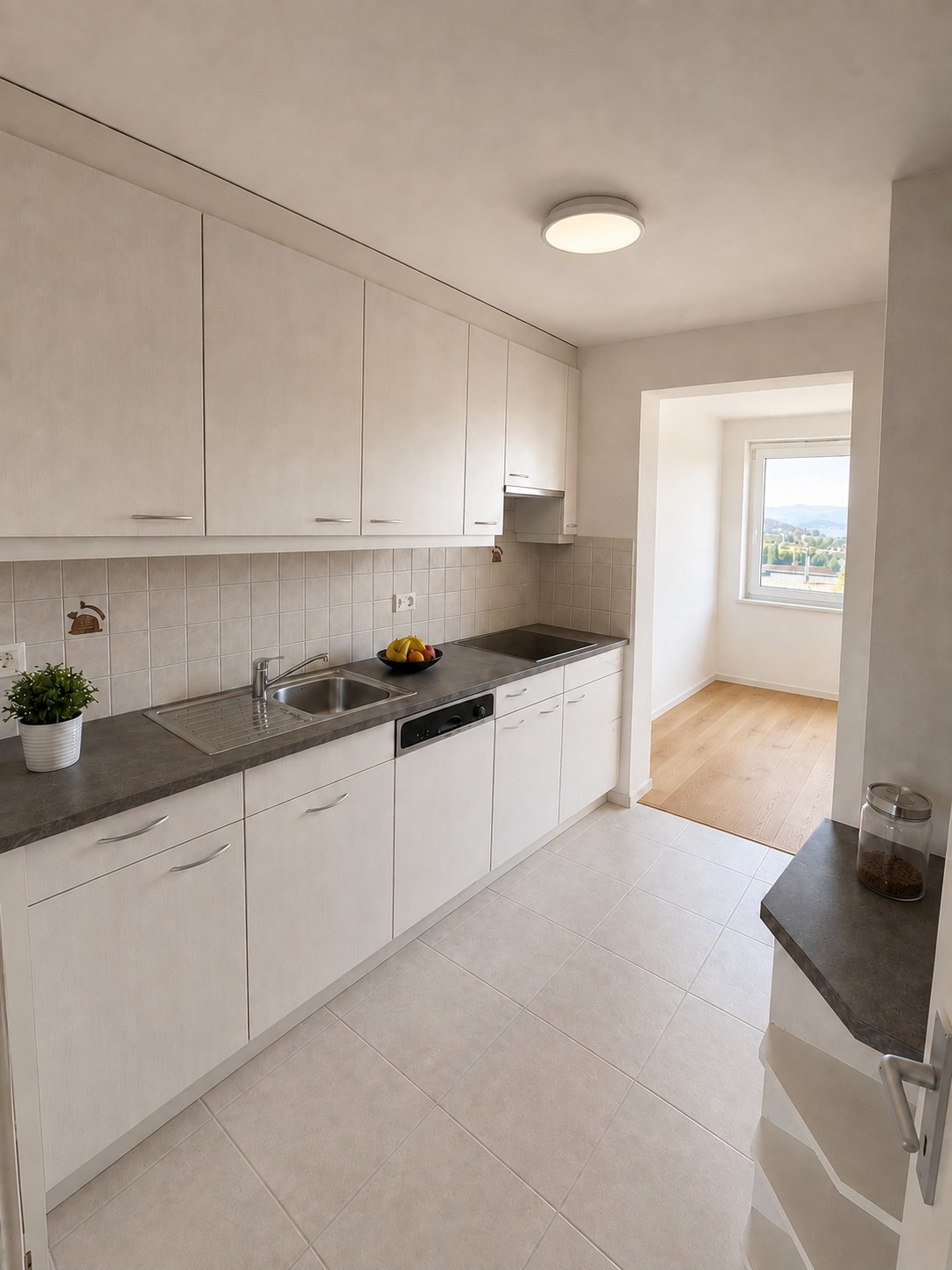 3 ½ rooms apartment