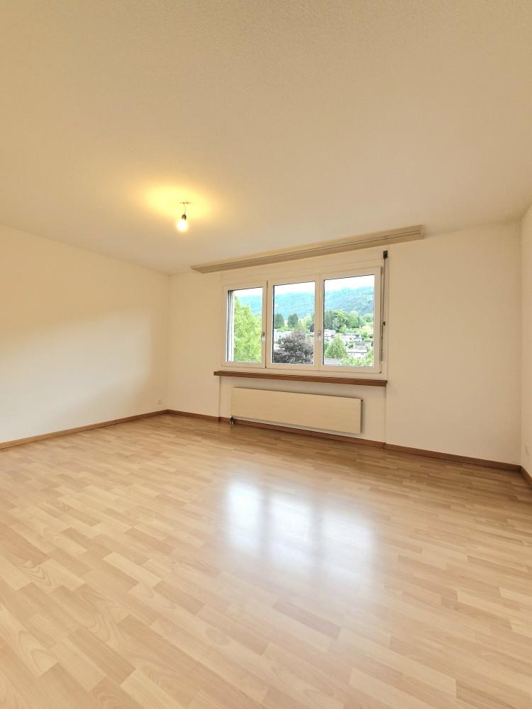 4 ½ rooms apartment (6)