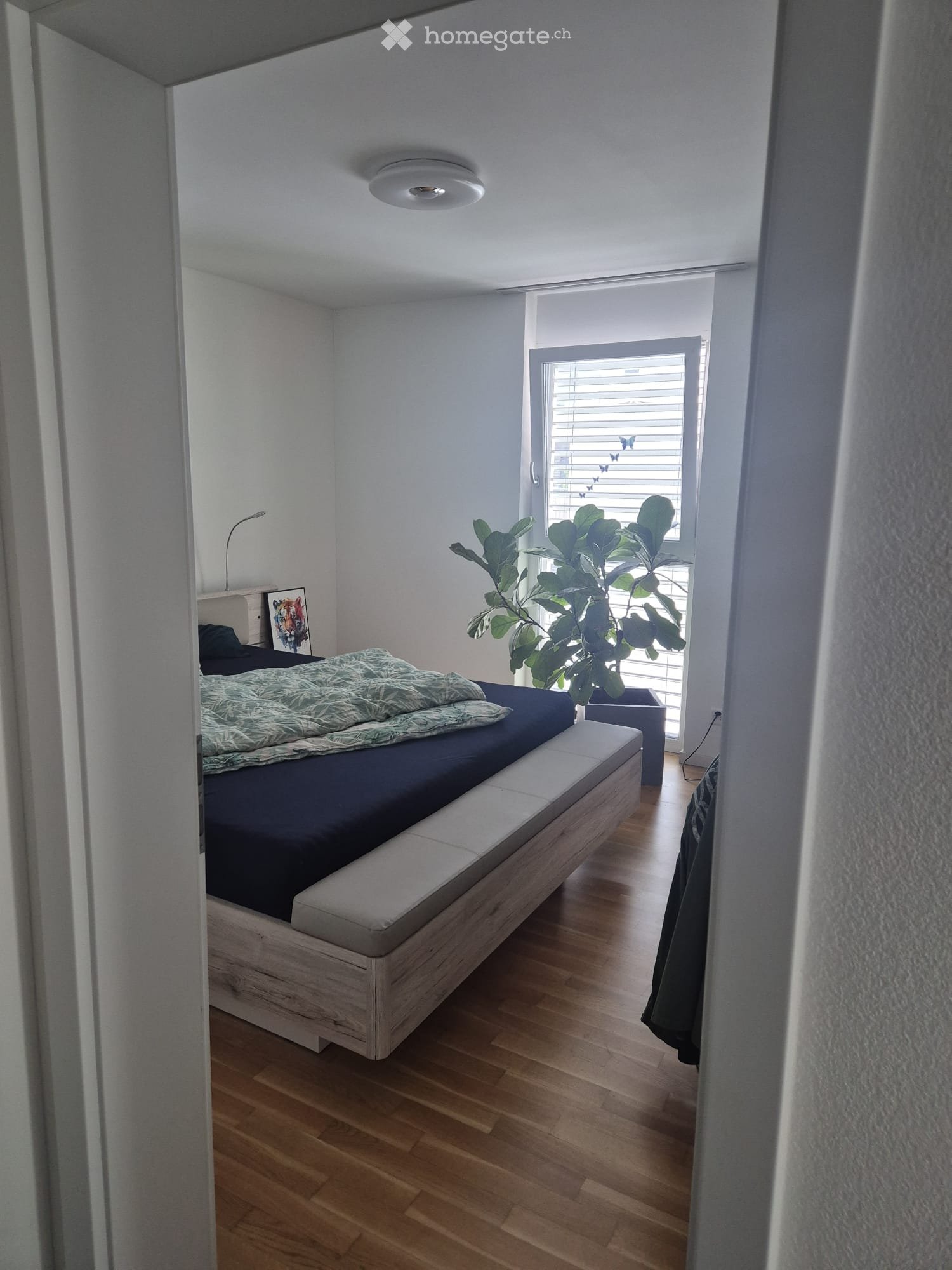 3 ½ Zimmer Wohnung, Foto 3 von 5