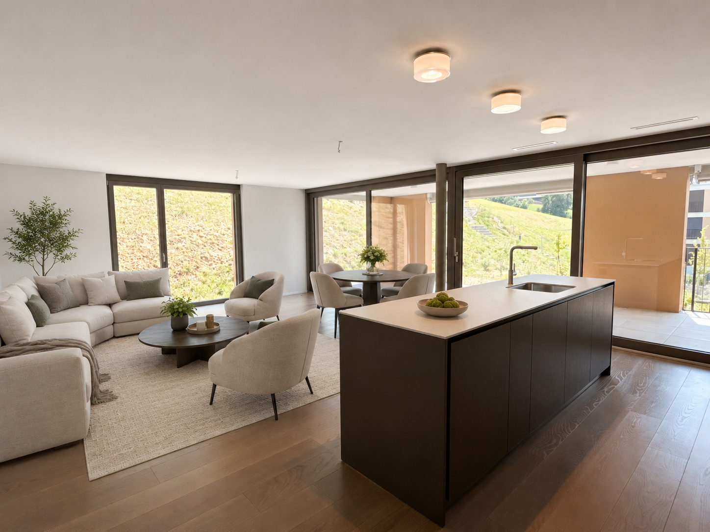 4 ½ rooms apartment