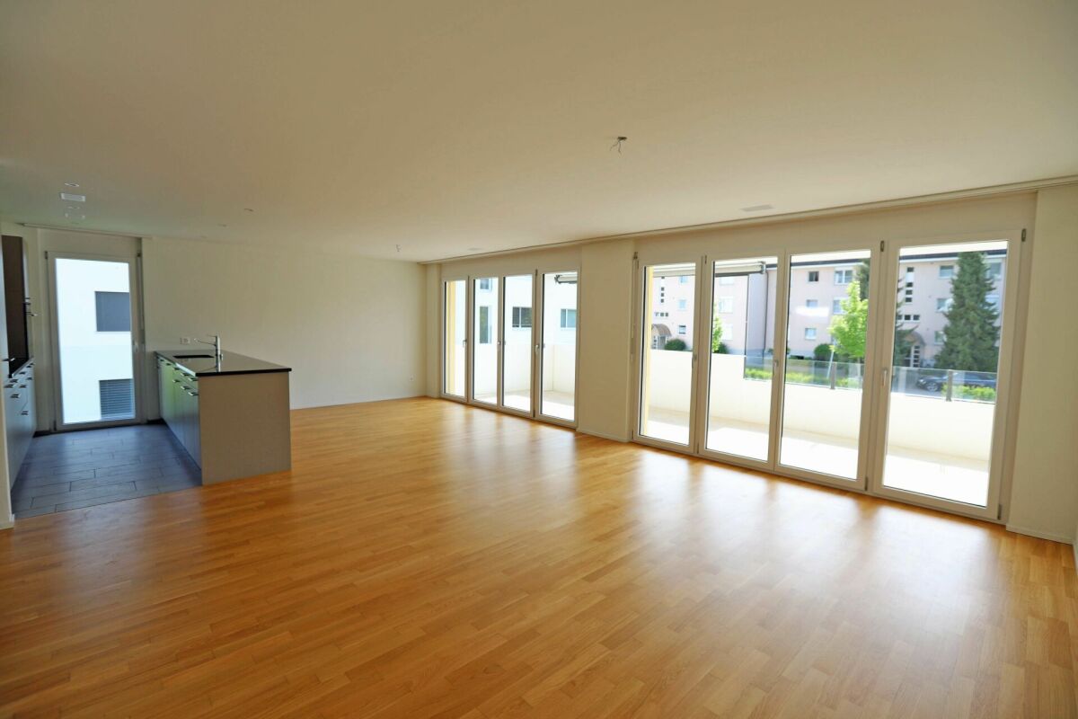 4 ½ rooms apartment (3)