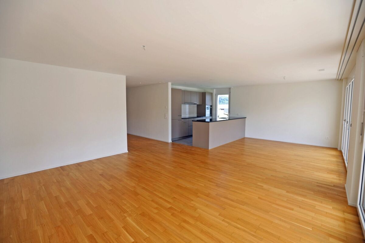 4 ½ rooms apartment (2)
