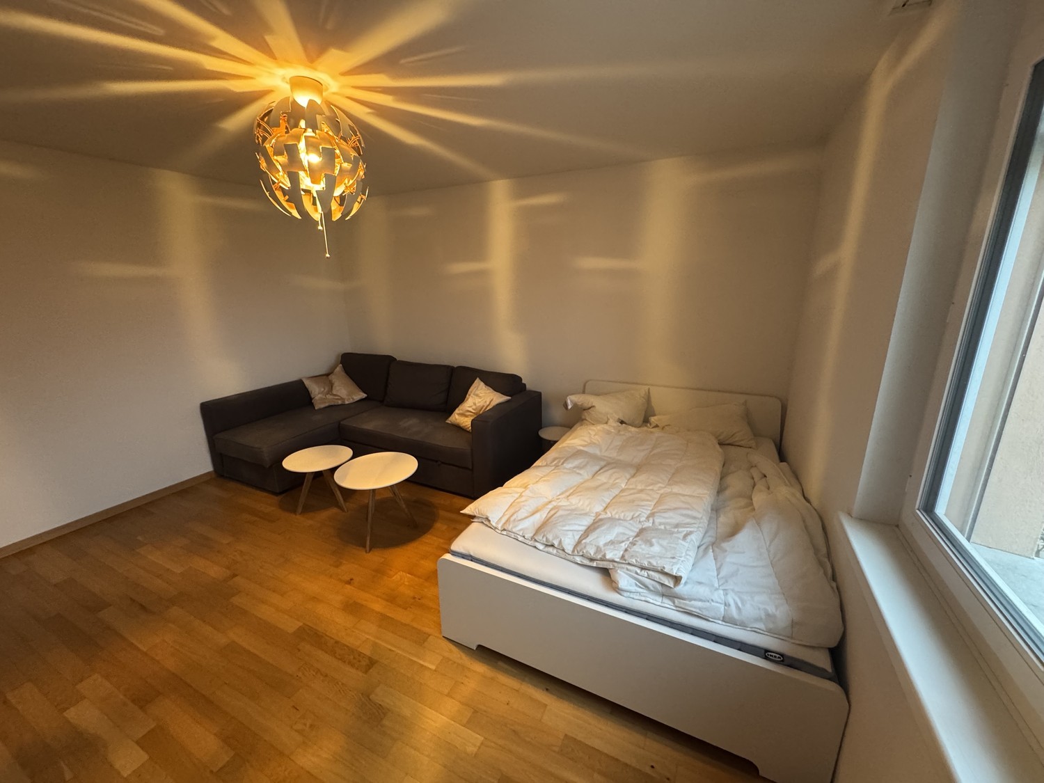Room in a shared flat
