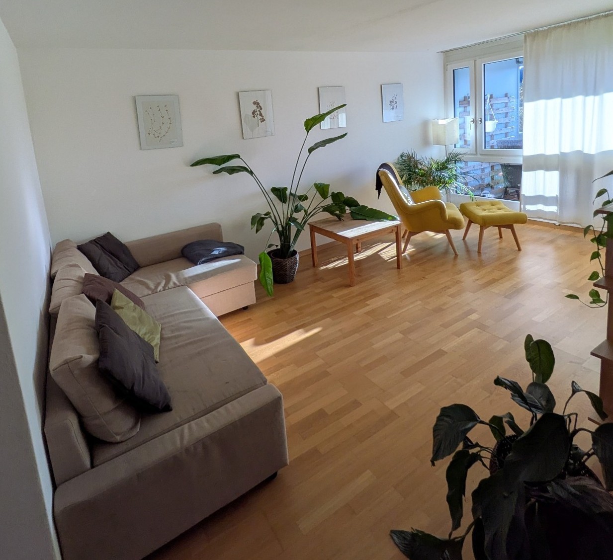 2 ½ rooms apartment
