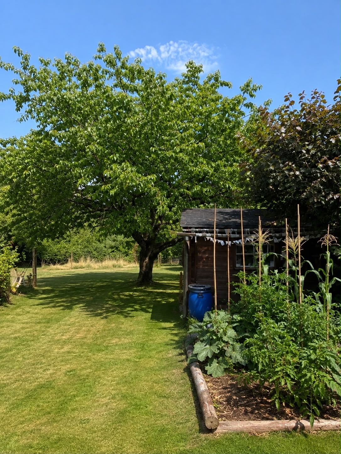 4 ½ Zimmer Einfamilienhaus