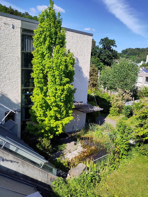 Maison individuelle de 7 pièces