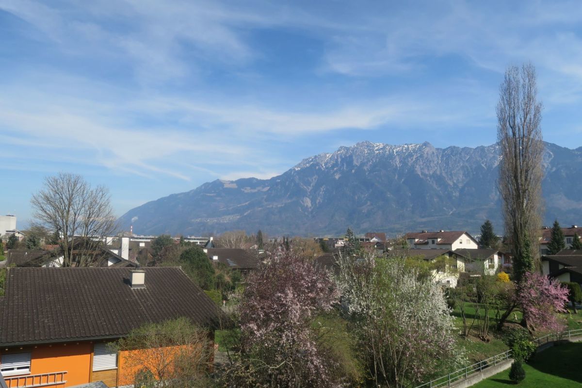 Monolocale di 2 locali