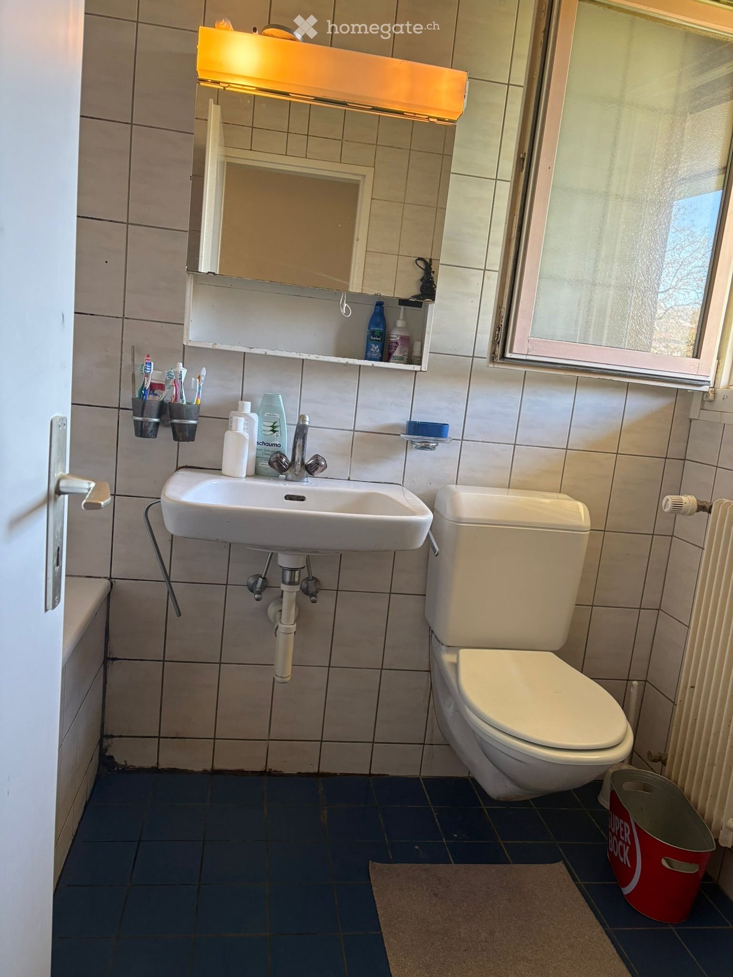 3 ½ Zimmer-Wohnung