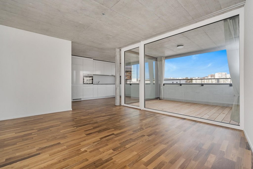 3 ½ rooms apartment (6)