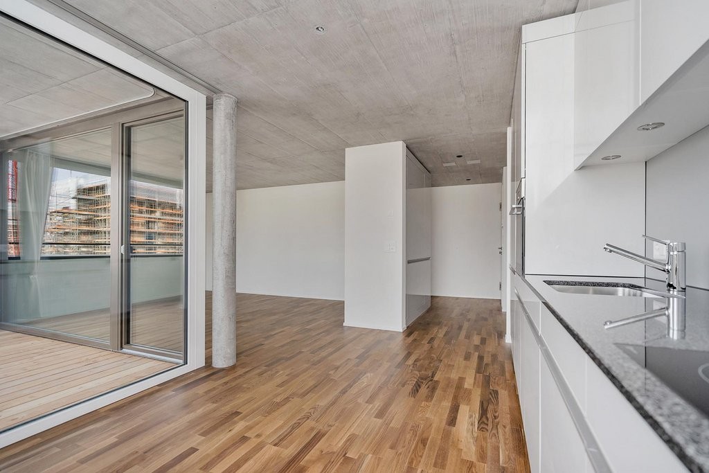 3 ½ rooms apartment (4)