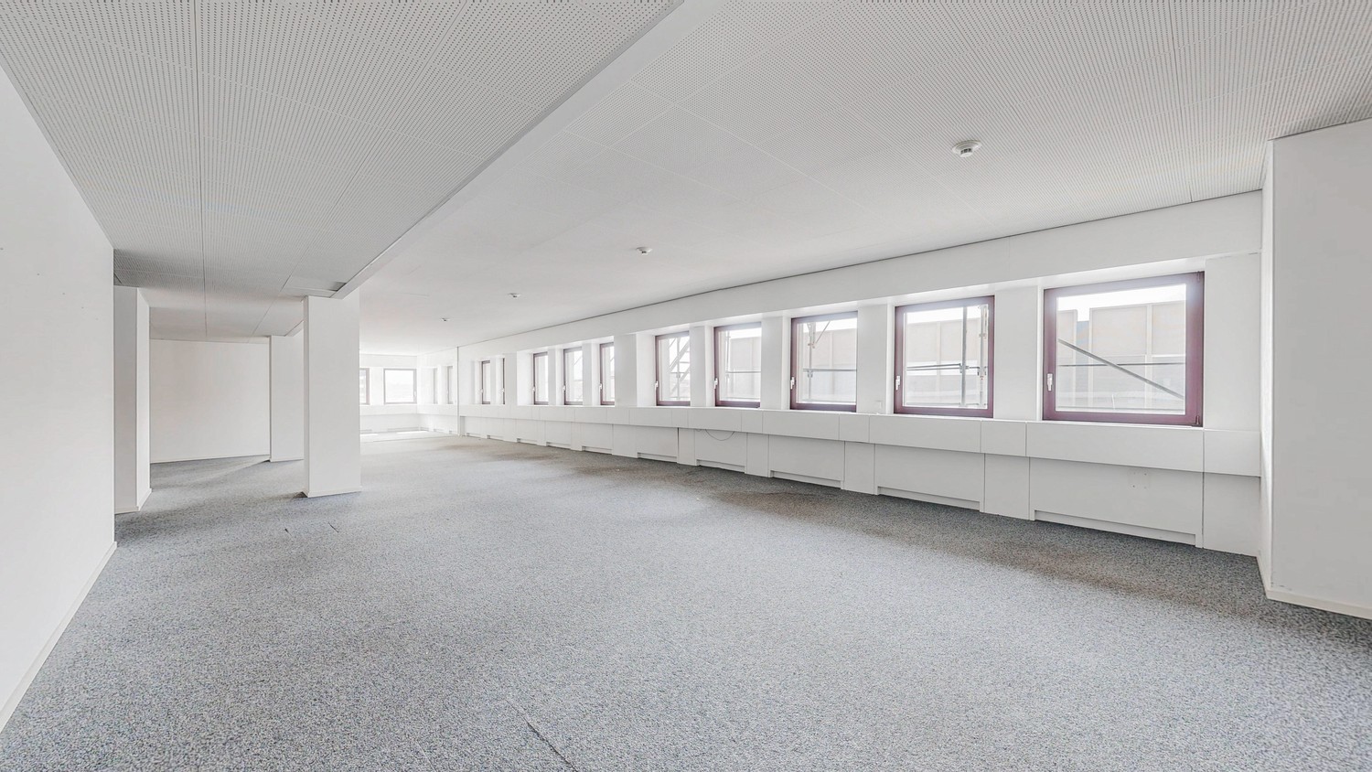 250m² de bureaux