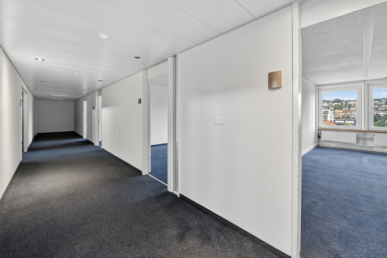292m² office, Foto 5 von 10
