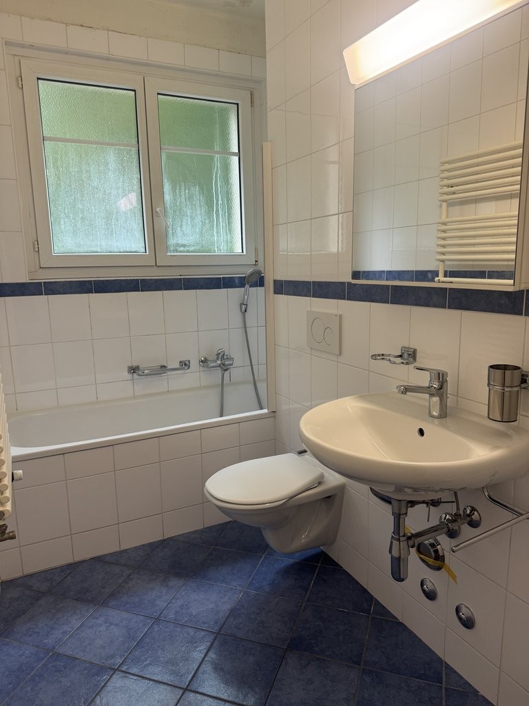 2 ½ Zimmer-Wohnung