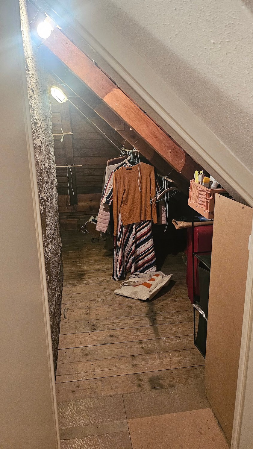 Room in a shared flat