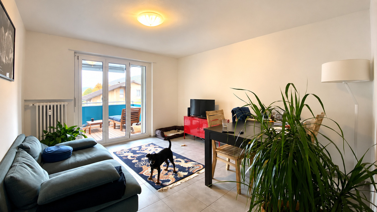 3 rooms apartment