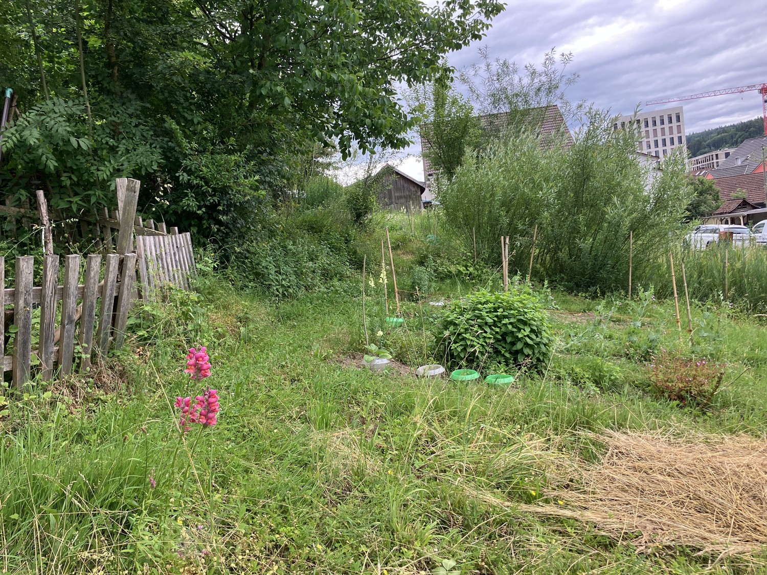 Appartamento di 4 ½ locali