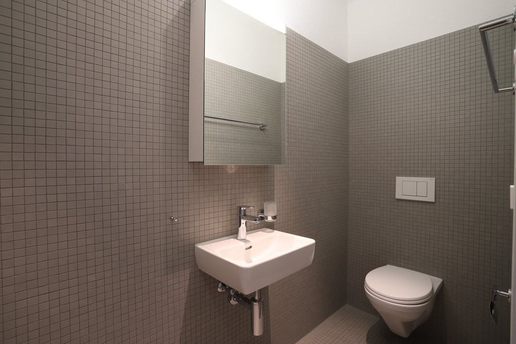 3 ½ rooms apartment (8)