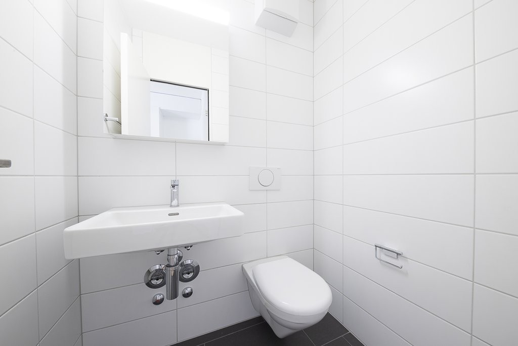 3 ½ rooms apartment (9)