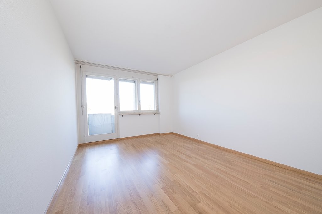 3 ½ rooms apartment (6)