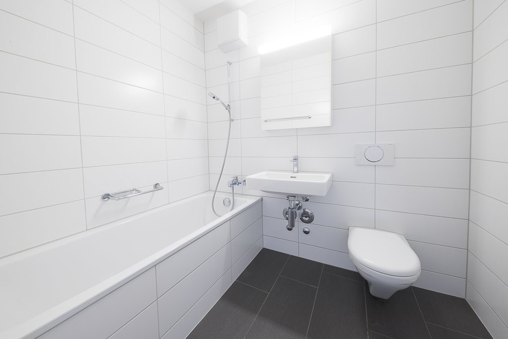 3 ½ rooms apartment (8)