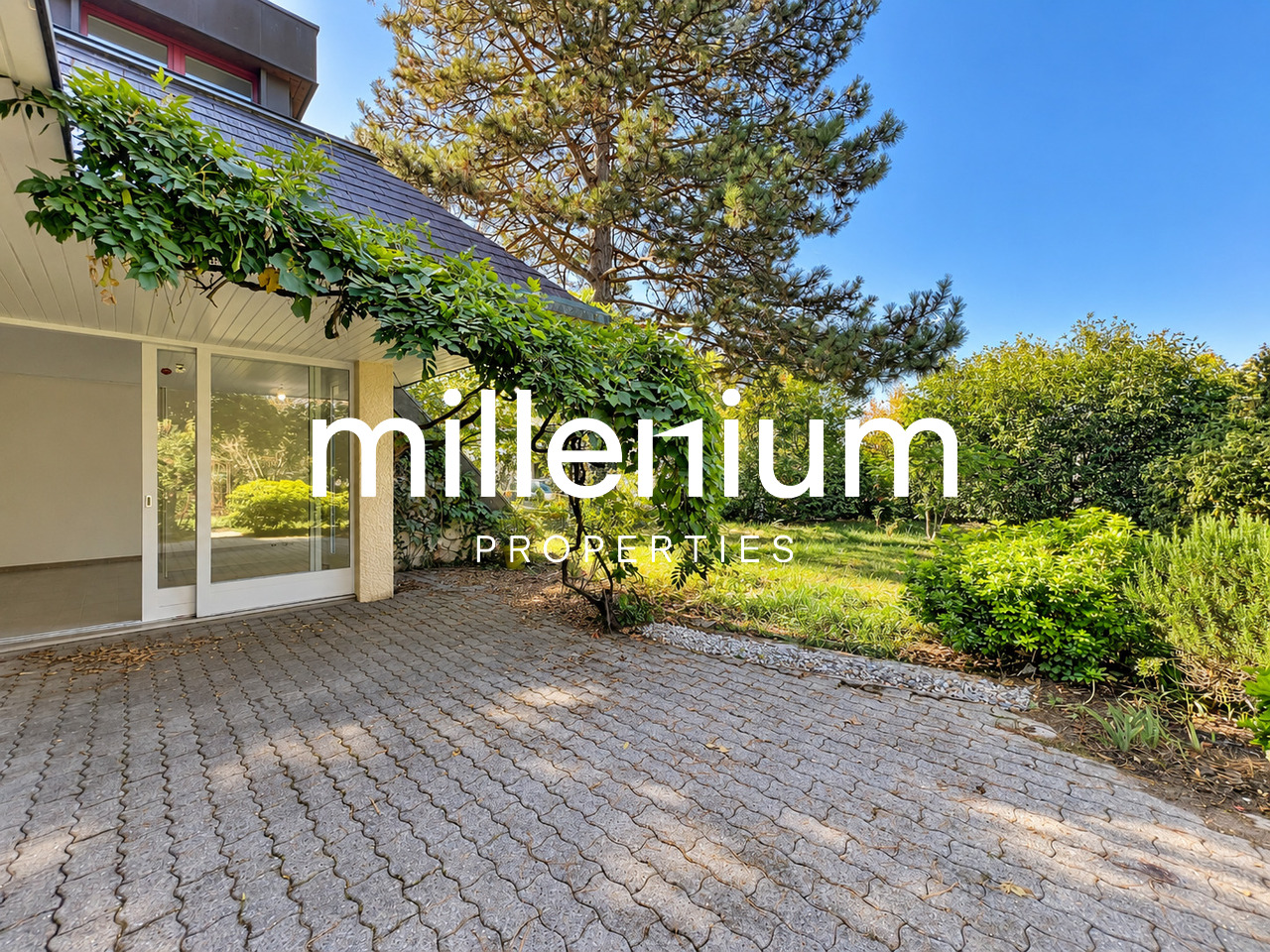 3 Zimmer Einfamilienhaus