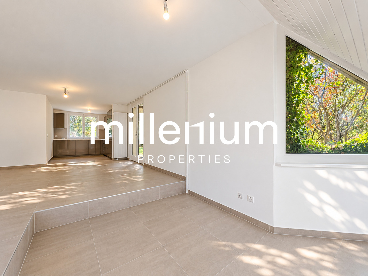 3 Zimmer Einfamilienhaus