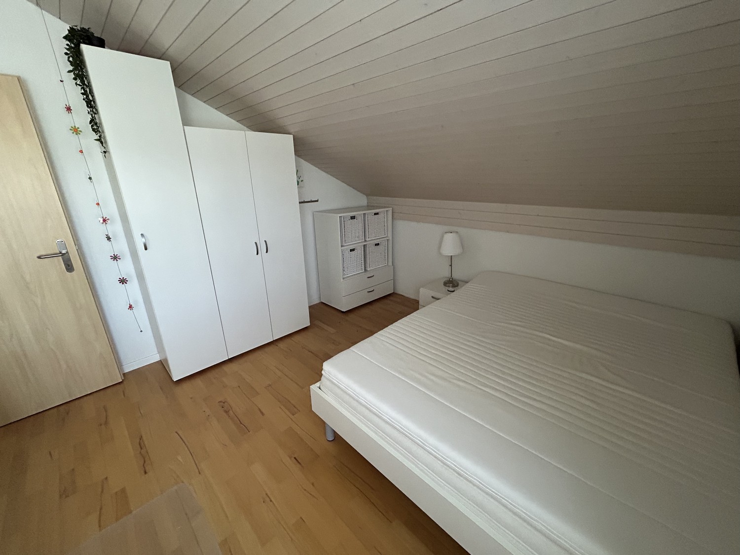 Room in a shared flat
