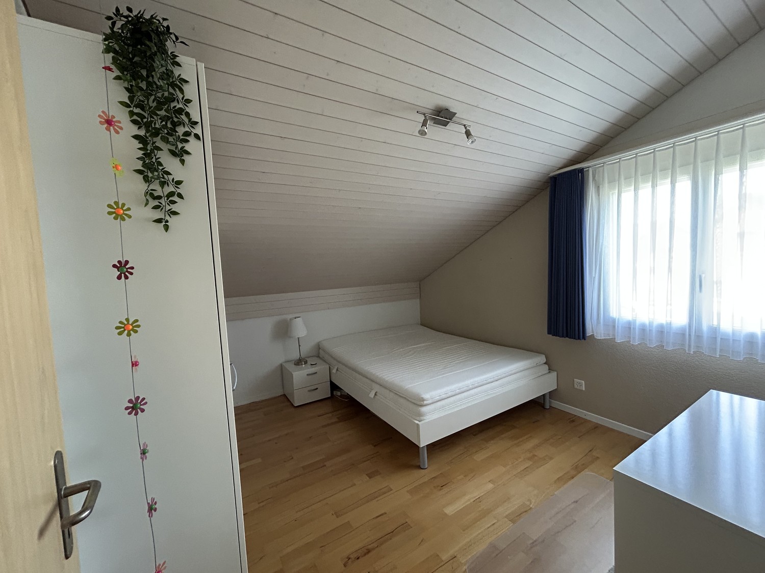 Room in a shared flat