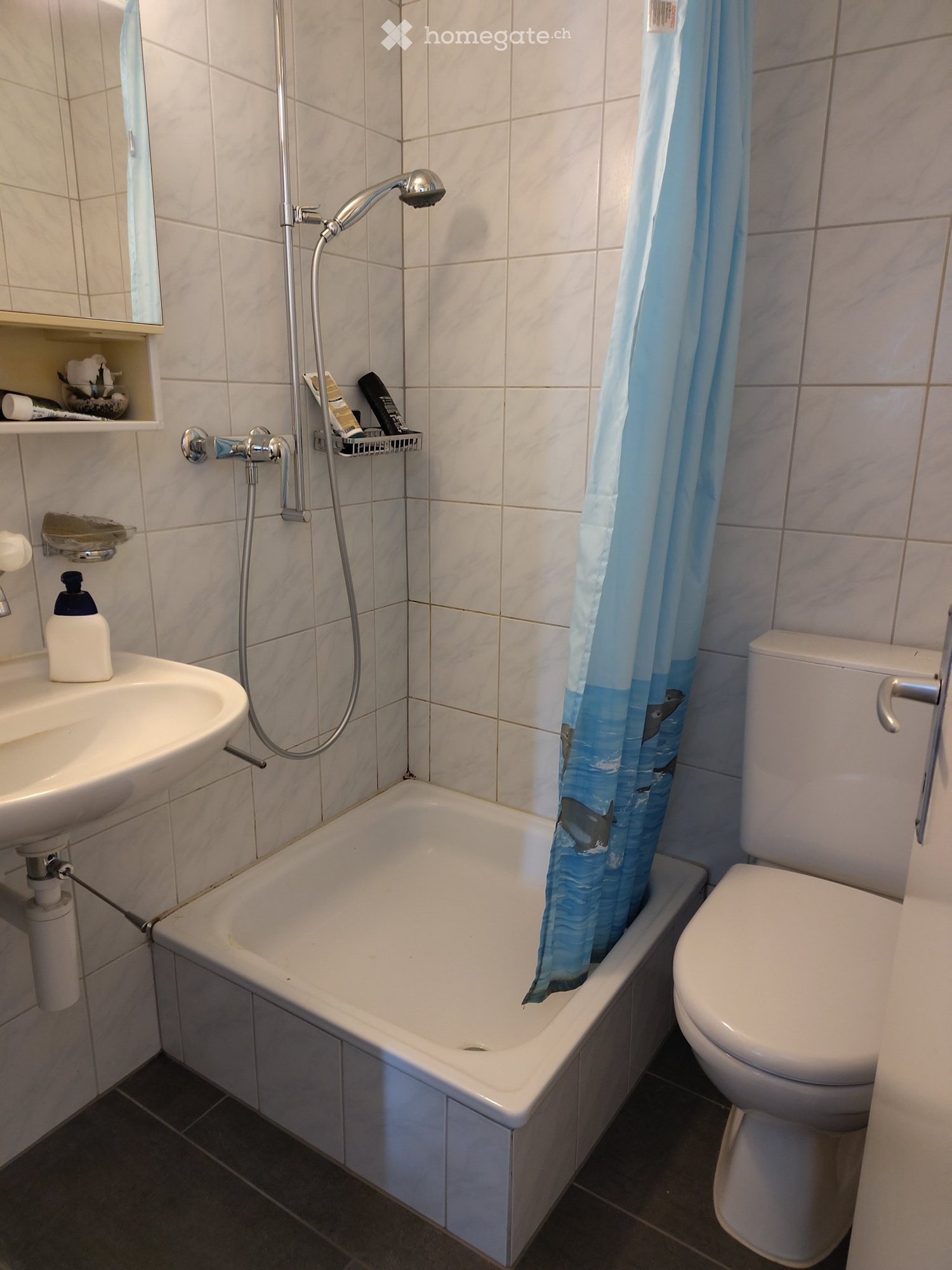4 ½ rooms apartment