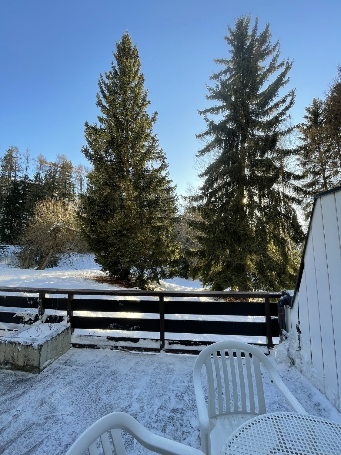 2 ½ Zimmer Wohnung, Foto 8 von 10