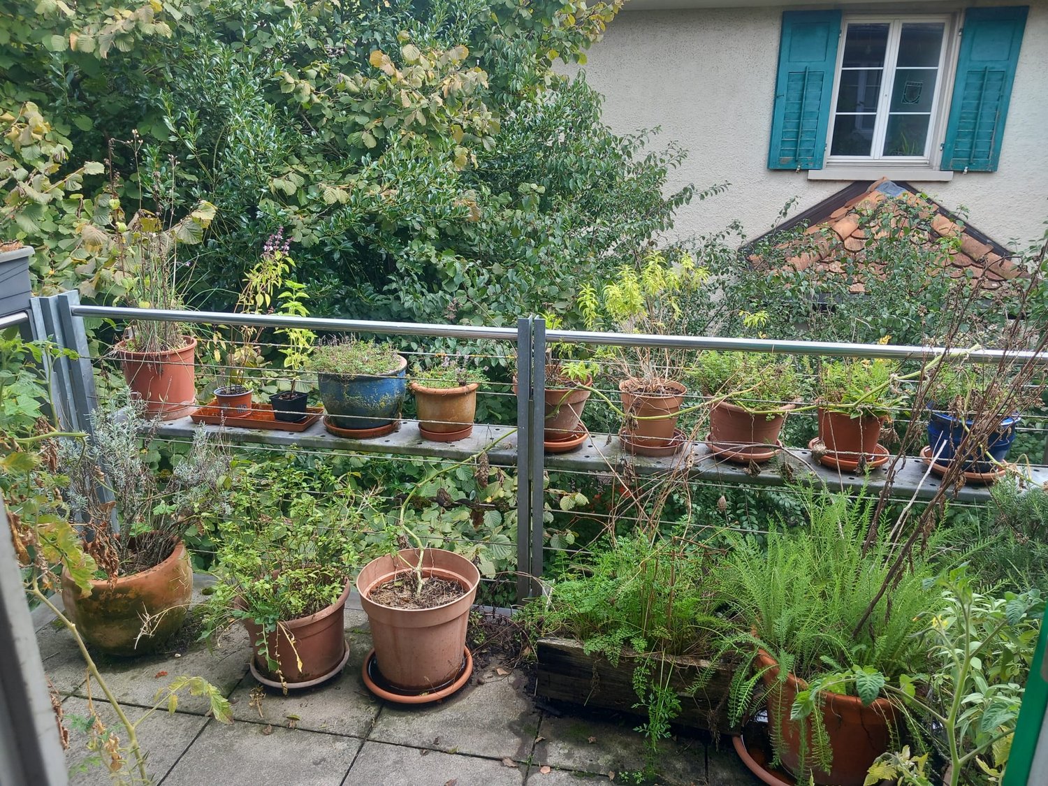 Room in a shared flat, Foto 5 von 10