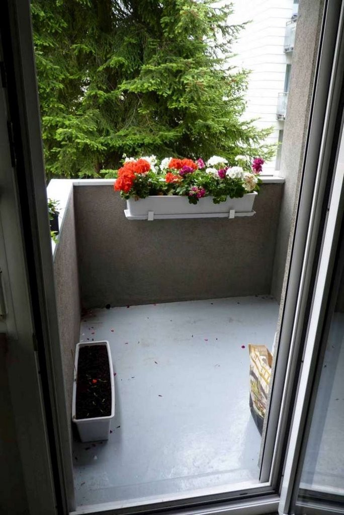 2 ½ rooms apartment, Foto 5 von 5