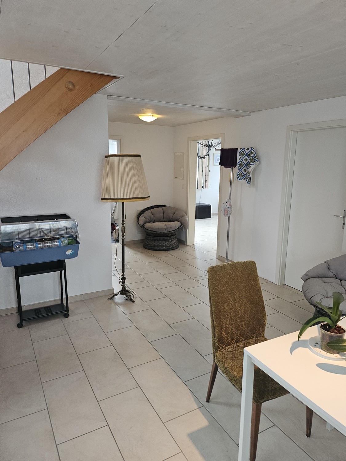 Chambre en colocation