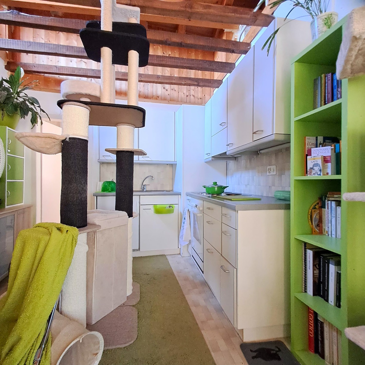 1 ½ rooms apartment