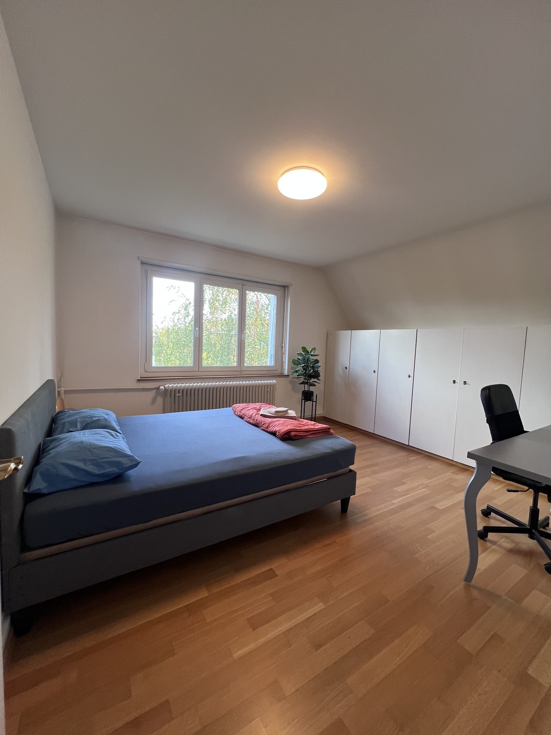 Zimmer in einer Wohngemeinschaft