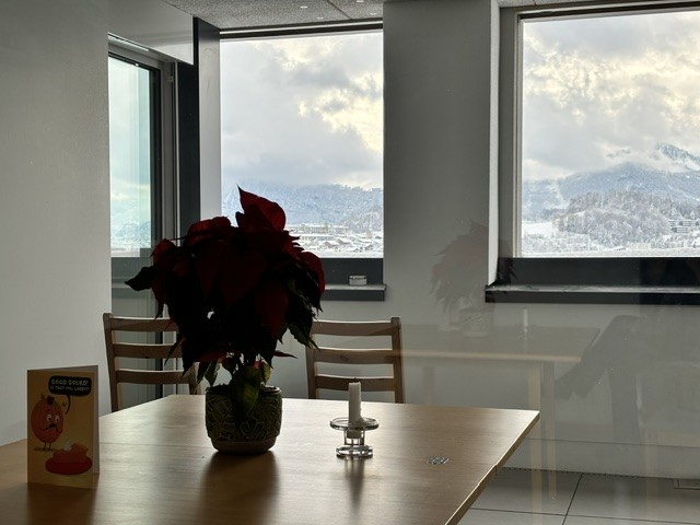 1 ½ Zimmer Wohnung