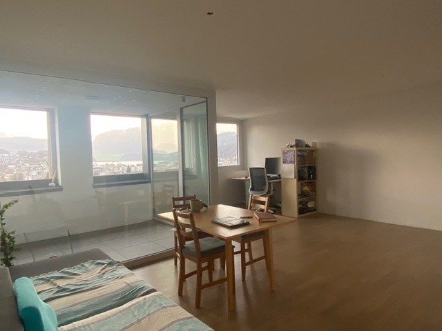 1 ½ Zimmer Wohnung