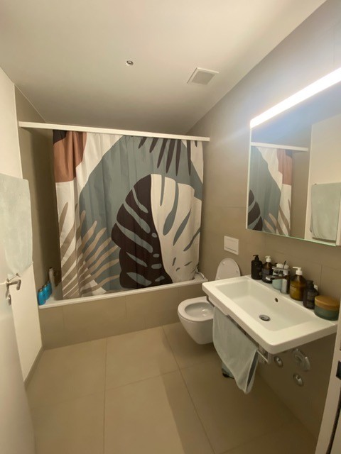 1 ½ Zimmer Wohnung