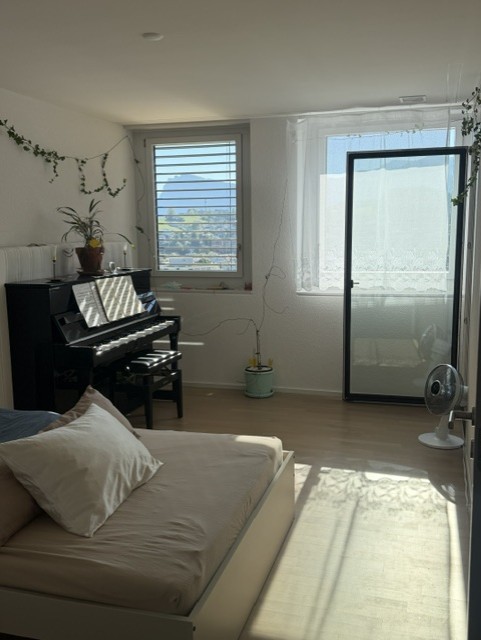 1 ½ Zimmer Wohnung