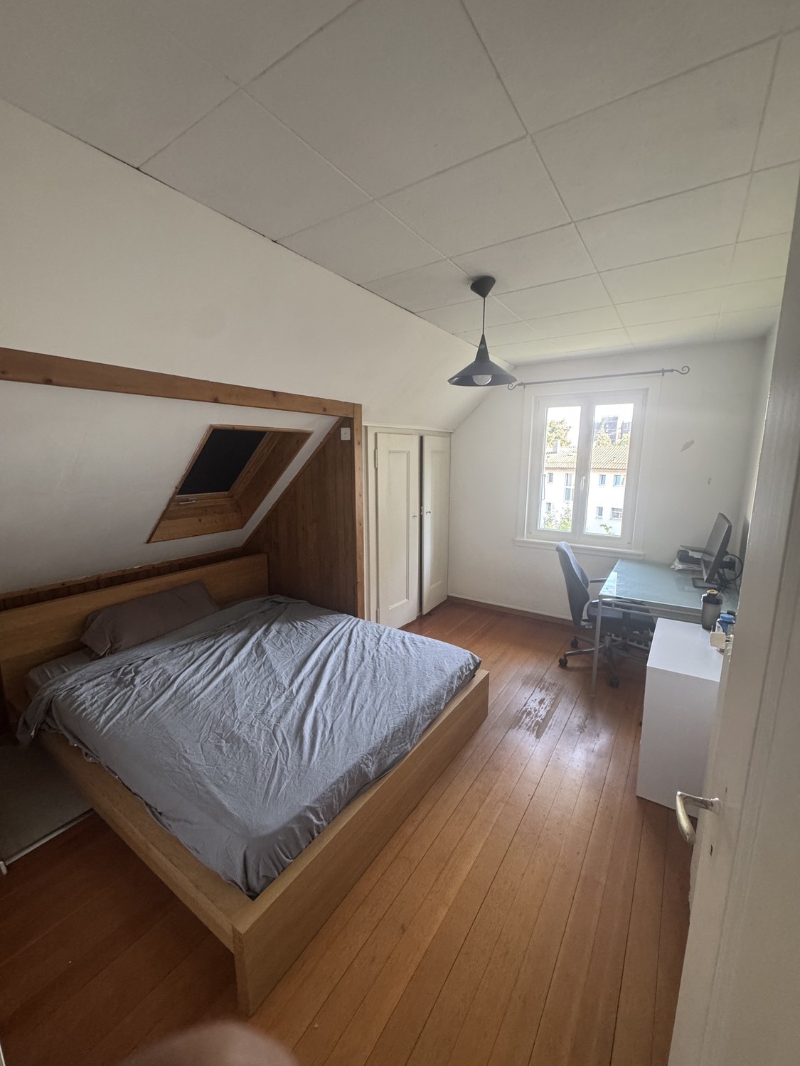 Room in a shared flat