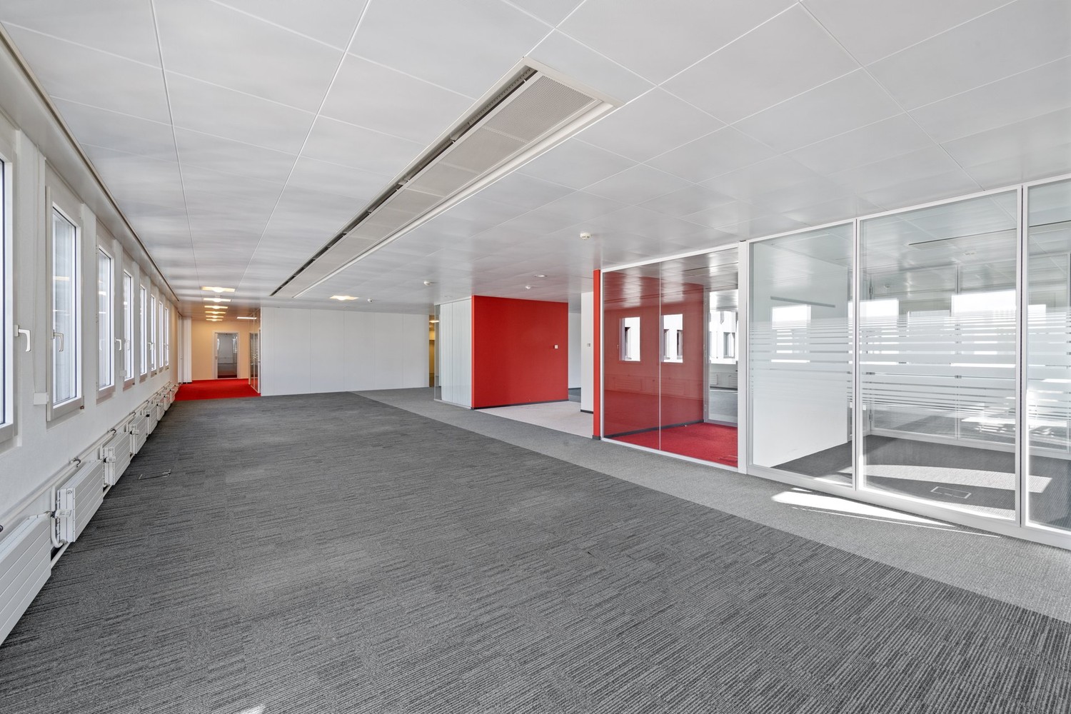 1195m² office
