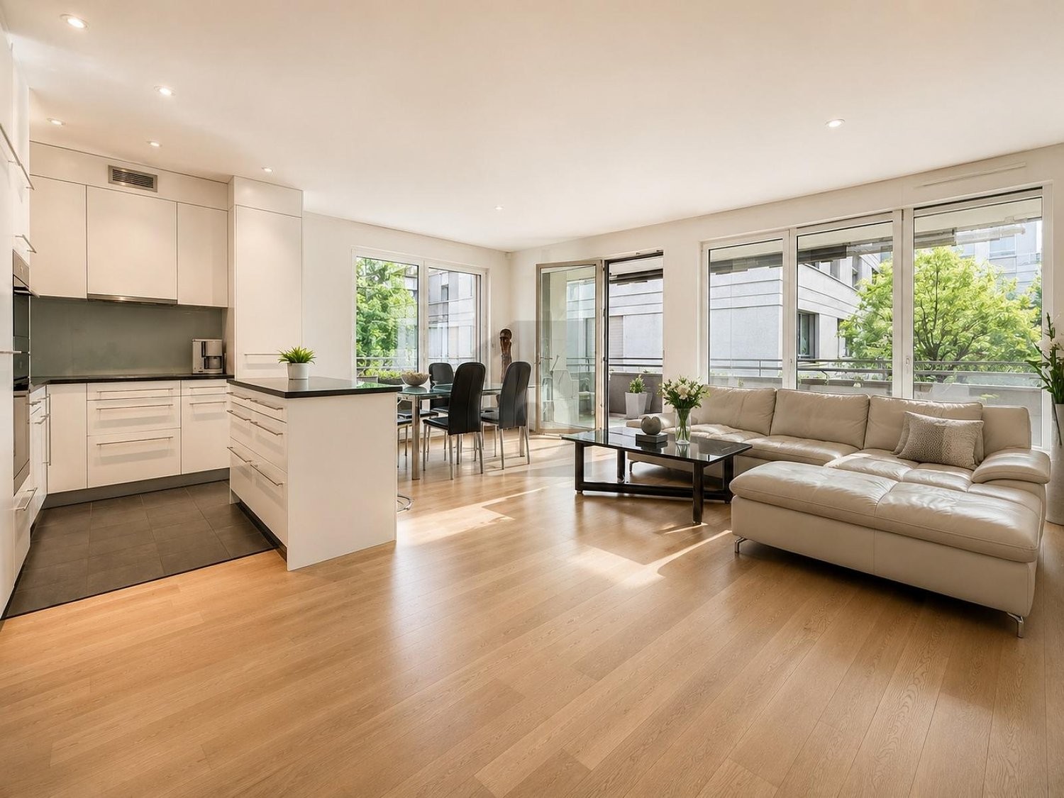 3 ½ rooms apartment (2)